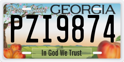 GA license plate PZI9874
