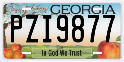GA license plate PZI9877