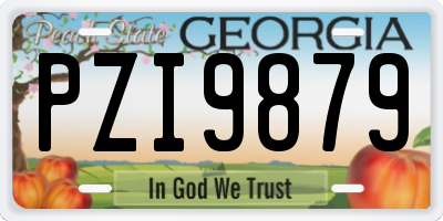 GA license plate PZI9879