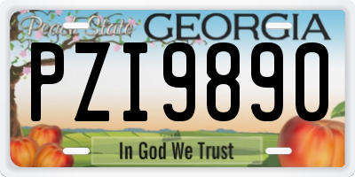 GA license plate PZI9890