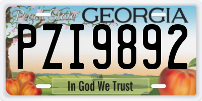GA license plate PZI9892