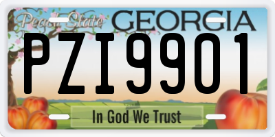 GA license plate PZI9901