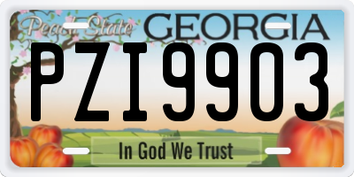 GA license plate PZI9903