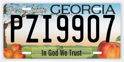 GA license plate PZI9907