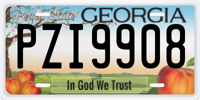 GA license plate PZI9908