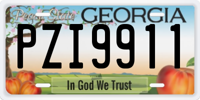 GA license plate PZI9911