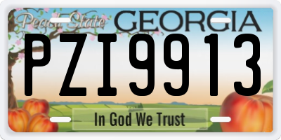 GA license plate PZI9913