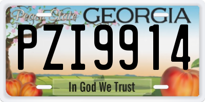 GA license plate PZI9914