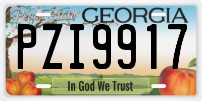GA license plate PZI9917