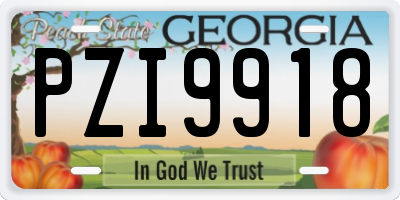 GA license plate PZI9918