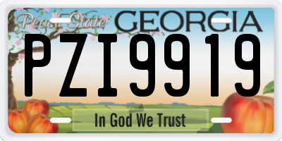 GA license plate PZI9919
