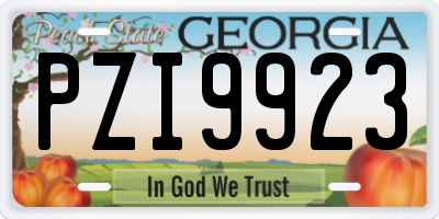 GA license plate PZI9923
