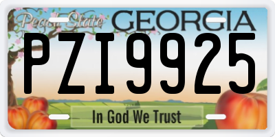 GA license plate PZI9925