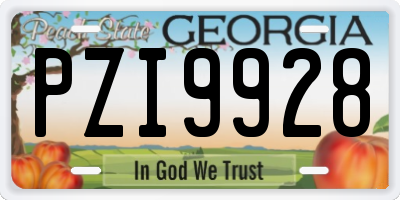 GA license plate PZI9928