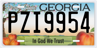 GA license plate PZI9954