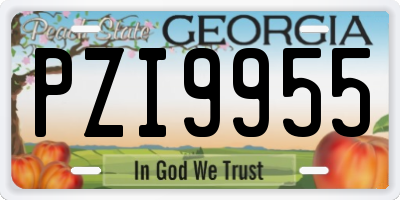GA license plate PZI9955