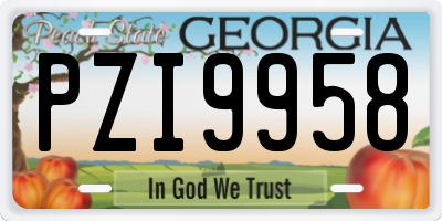 GA license plate PZI9958