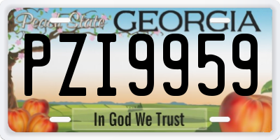 GA license plate PZI9959