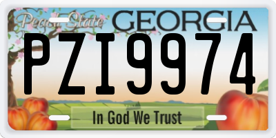 GA license plate PZI9974