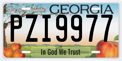 GA license plate PZI9977