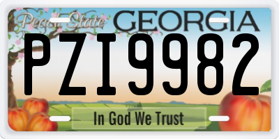GA license plate PZI9982