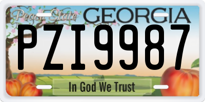 GA license plate PZI9987