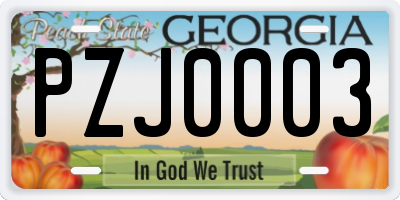 GA license plate PZJ0003