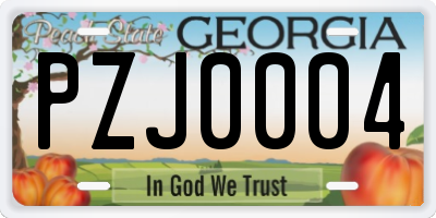 GA license plate PZJ0004