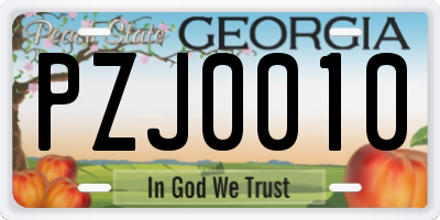 GA license plate PZJ0010
