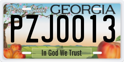 GA license plate PZJ0013