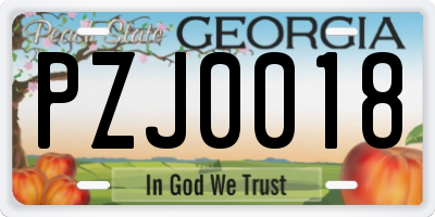 GA license plate PZJ0018