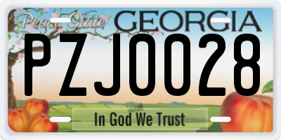 GA license plate PZJ0028