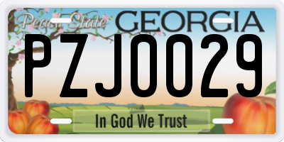 GA license plate PZJ0029