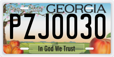 GA license plate PZJ0030