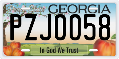 GA license plate PZJ0058