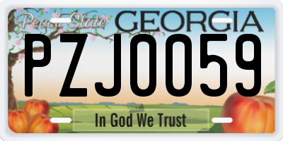 GA license plate PZJ0059