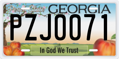 GA license plate PZJ0071
