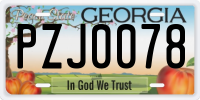 GA license plate PZJ0078