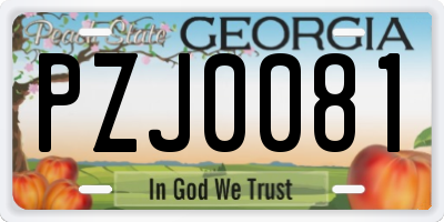 GA license plate PZJ0081