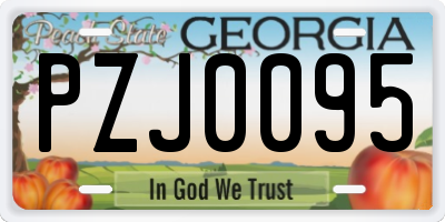 GA license plate PZJ0095