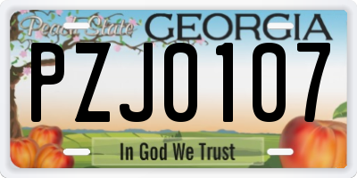 GA license plate PZJ0107