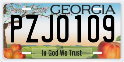 GA license plate PZJ0109