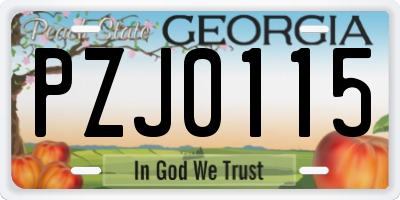 GA license plate PZJ0115