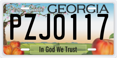 GA license plate PZJ0117