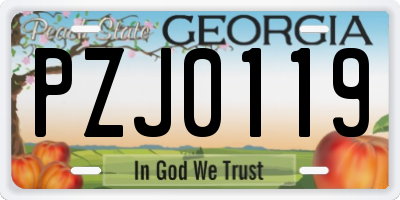 GA license plate PZJ0119