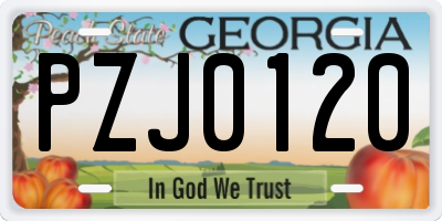 GA license plate PZJ0120