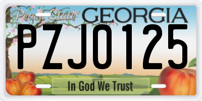 GA license plate PZJ0125