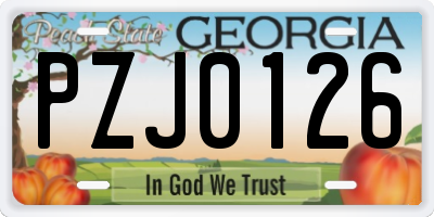 GA license plate PZJ0126