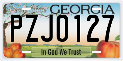 GA license plate PZJ0127