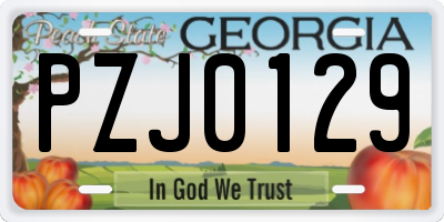 GA license plate PZJ0129